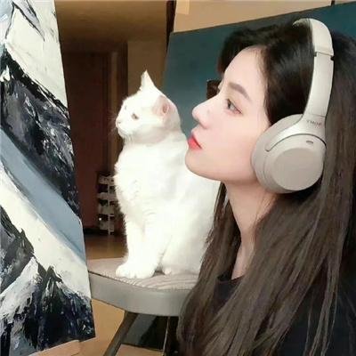 马鸣风萧萧